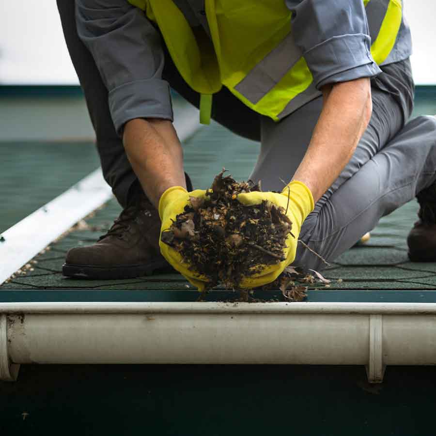 dachrinnen-reinigung